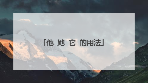 他 她 它 的用法