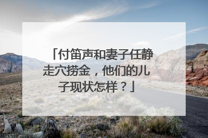 付笛声和妻子任静走穴捞金，他们的儿子现状怎样？