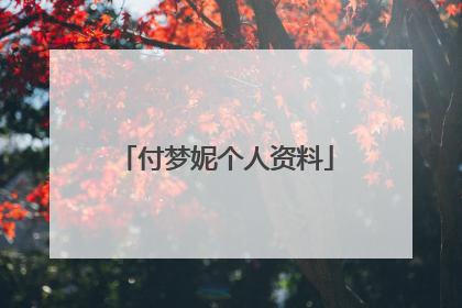 付梦妮个人资料