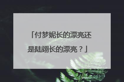 付梦妮长的漂亮还是陆翊长的漂亮？