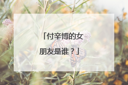 付辛博的女朋友是谁？