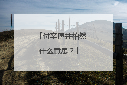 付辛博井柏然什么意思？