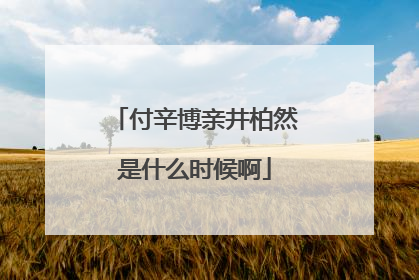 付辛博亲井柏然是什么时候啊
