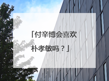 付辛博会喜欢朴孝敏吗？