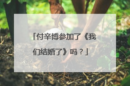 付辛博参加了《我们结婚了》吗?
