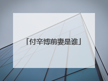 付辛博前妻是谁