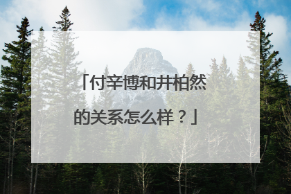 付辛博和井柏然的关系怎么样?