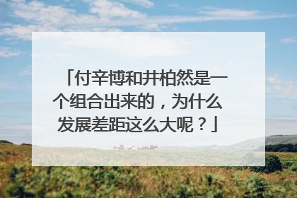 付辛博和井柏然是一个组合出来的,为什么发展差距这么大呢?