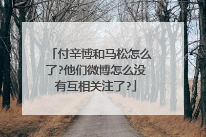 付辛博和马松怎么了?他们微博怎么没有互相关注了?
