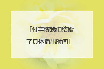 付辛博我们结婚了具体播出时间