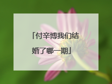 付辛博我们结婚了哪一期