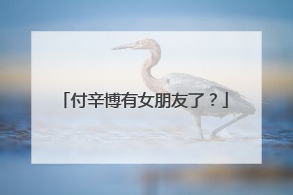 付辛博有女朋友了?