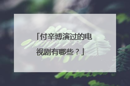 付辛博演过的电视剧有哪些?