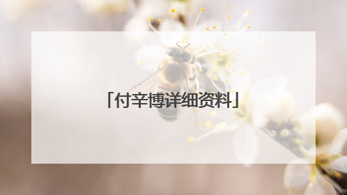 付辛博详细资料