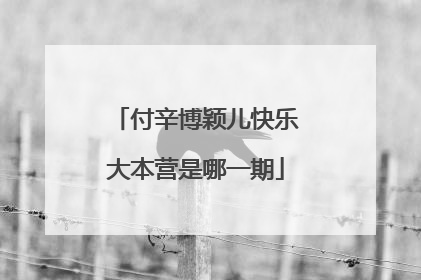 付辛博颖儿快乐大本营是哪一期