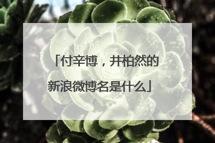 付辛博，井柏然的新浪微博名是什么