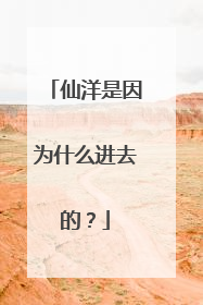 仙洋是因为什么进去的？