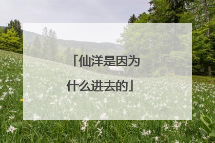 仙洋是因为什么进去的