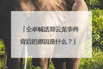 仝卓喊话郑云龙事件背后的原因是什么？