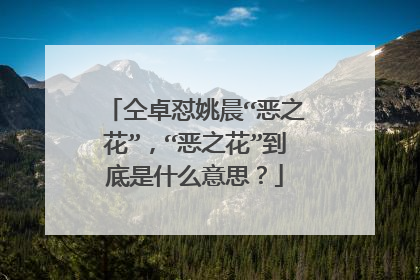 仝卓怼姚晨“恶之花”,“恶之花”到底是什么意思?