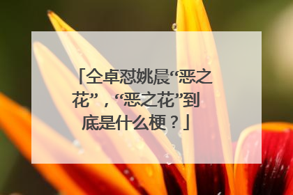 仝卓怼姚晨“恶之花”，“恶之花”到底是什么梗？