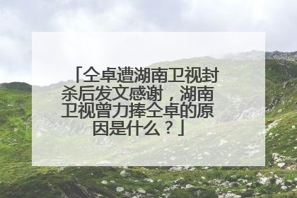 仝卓遭湖南卫视封杀后发文感谢，湖南卫视曾力捧仝卓的原因是什么？