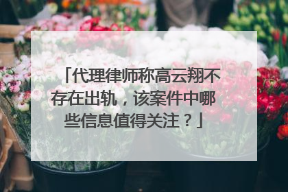代理律师称高云翔不存在出轨，该案件中哪些信息值得关注？