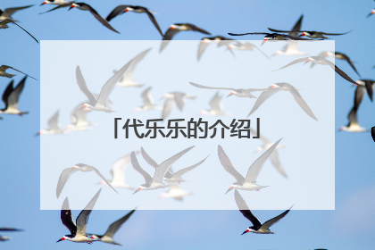 代乐乐的介绍