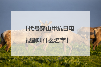代号穿山甲抗日电视剧叫什么名字