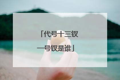 代号十三钗一号钗是谁