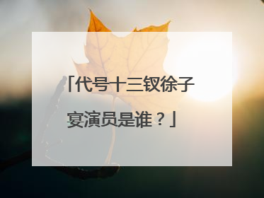 代号十三钗徐子宴演员是谁？