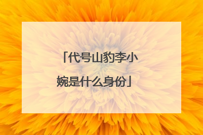 代号山豹李小婉是什么身份