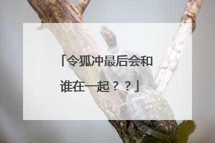 令狐冲最后会和谁在一起??
