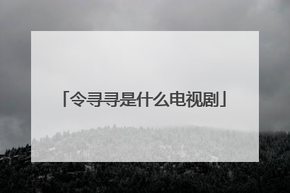 令寻寻是什么电视剧