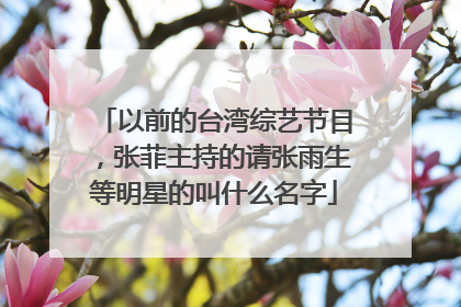 以前的台湾综艺节目，张菲主持的请张雨生等明星的叫什么名字