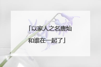 以家人之名唐灿和谁在一起了