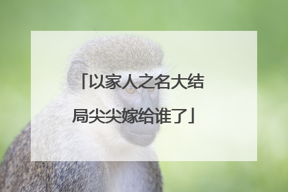 以家人之名大结局尖尖嫁给谁了