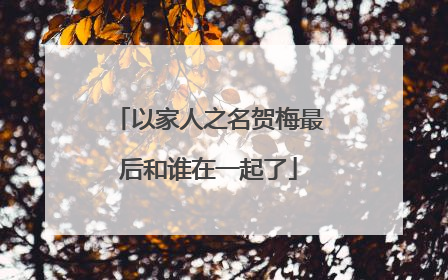 以家人之名贺梅最后和谁在一起了