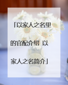 以家人之名里的官配介绍 以家人之名简介