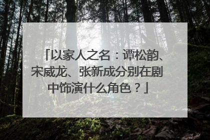 以家人之名：谭松韵、宋威龙、张新成分别在剧中饰演什么角色？
