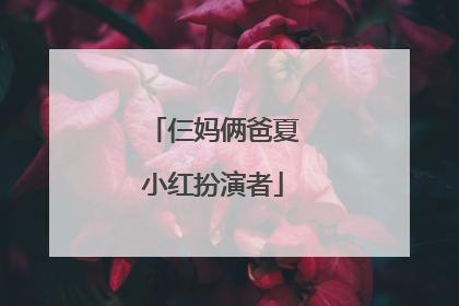 仨妈俩爸夏小红扮演者