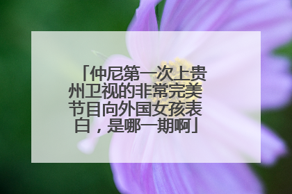 仲尼第一次上贵州卫视的非常完美节目向外国女孩表白,是哪一期啊