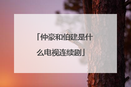 仲豪和伯建是什么电视连续剧