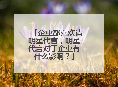 企业都喜欢请明星代言，明星代言对于企业有什么影响？