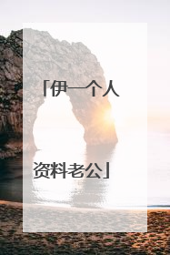 伊一个人资料老公