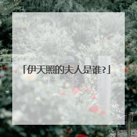 伊天照的夫人是谁?