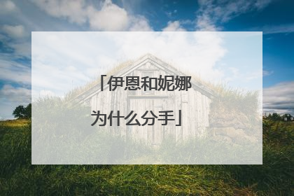 伊恩和妮娜为什么分手