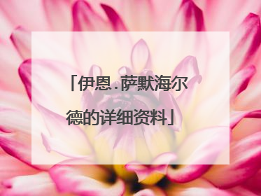 伊恩.萨默海尔德的详细资料