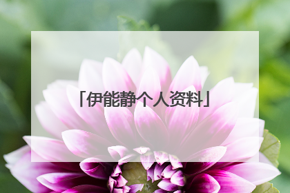 伊能静个人资料