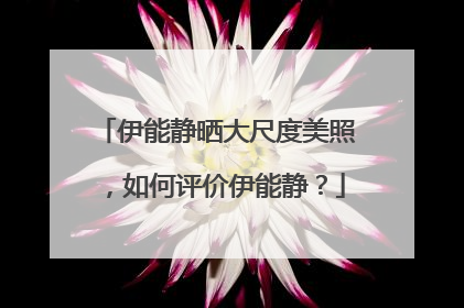 伊能静晒大尺度美照,如何评价伊能静?